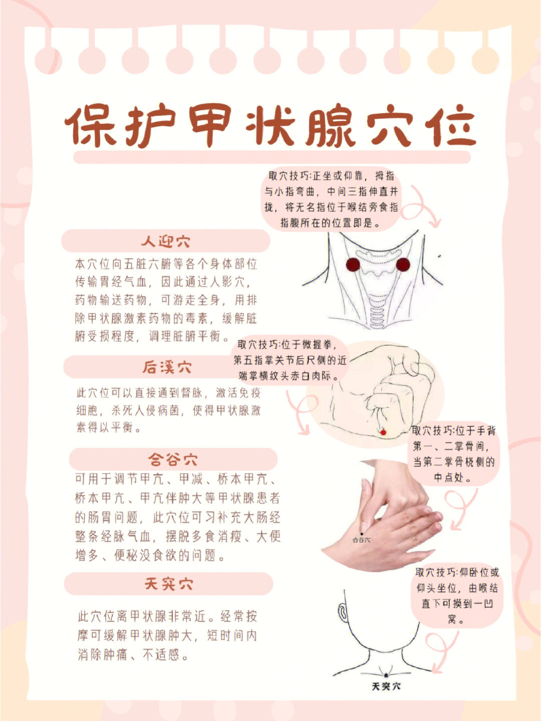 保护甲状腺穴位方便操作