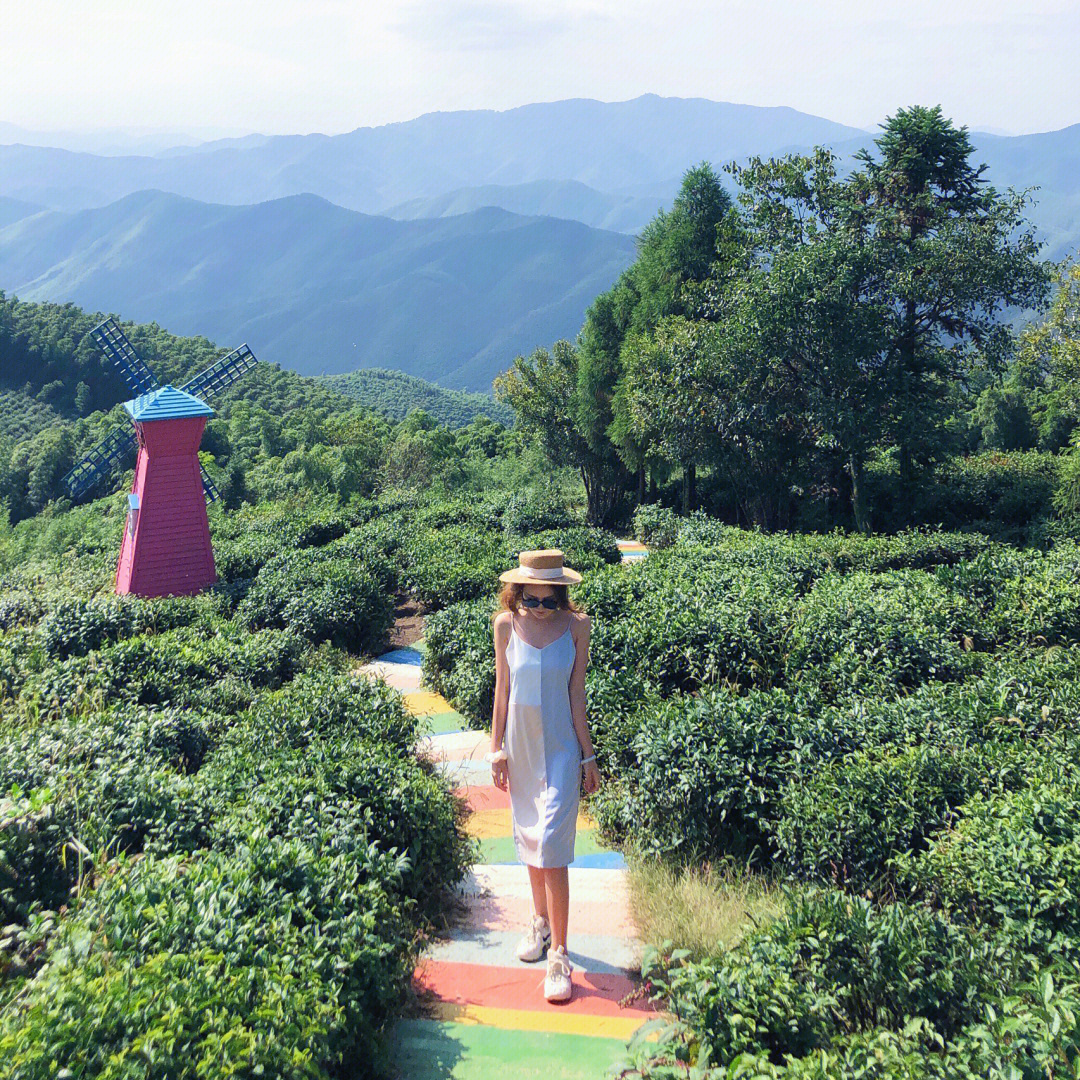 莫干山彩虹路图片