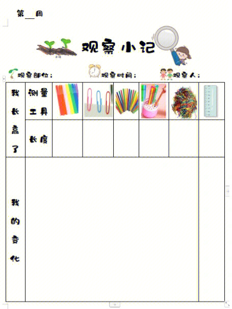 科学区实验操作表