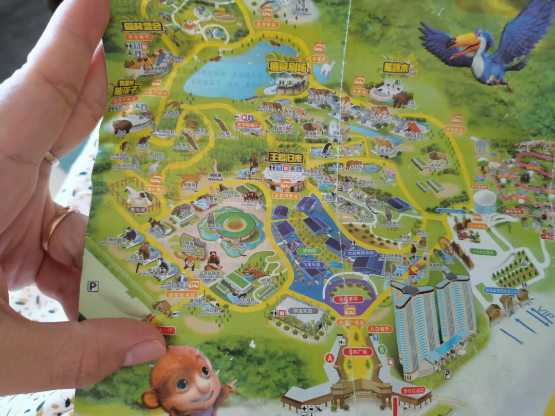 龙之梦动物园地图高清图片