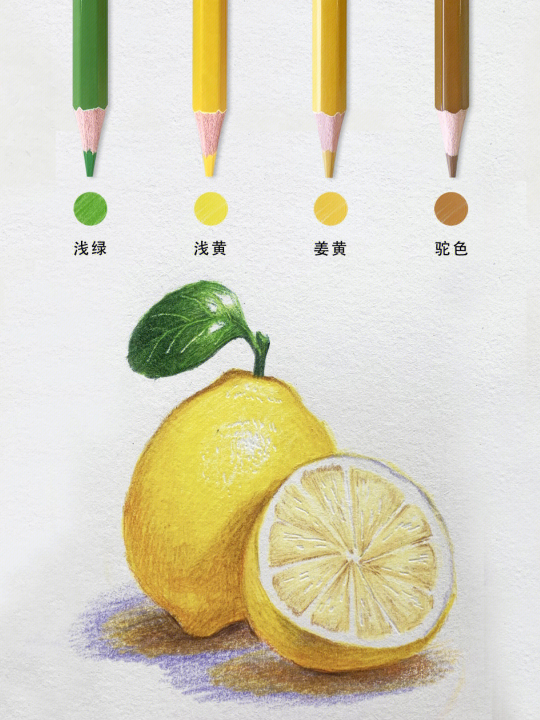铅笔画教程柠檬初夏