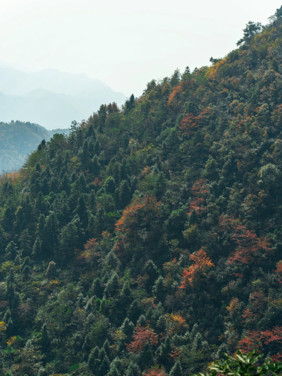 富阳新登九仰坪景区图片