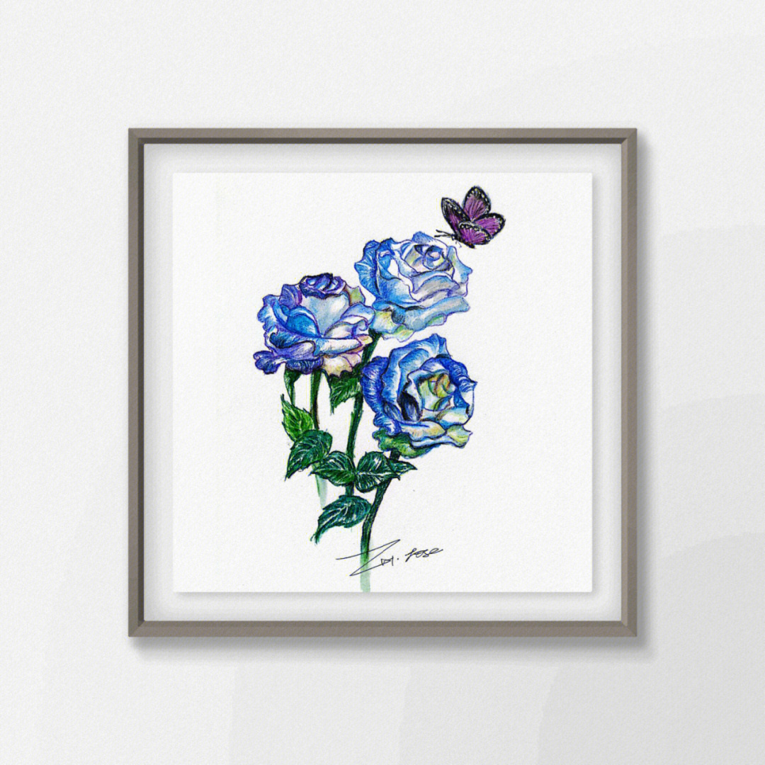 蓝玫瑰彩铅画步骤图图片