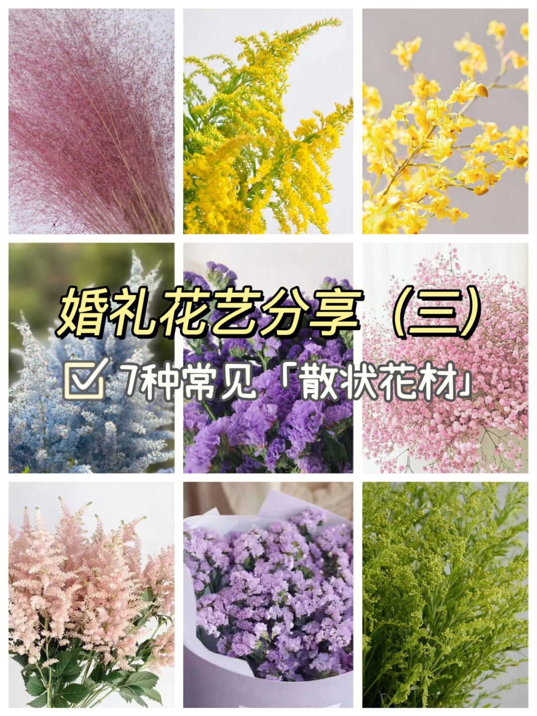 散状花材50种图片