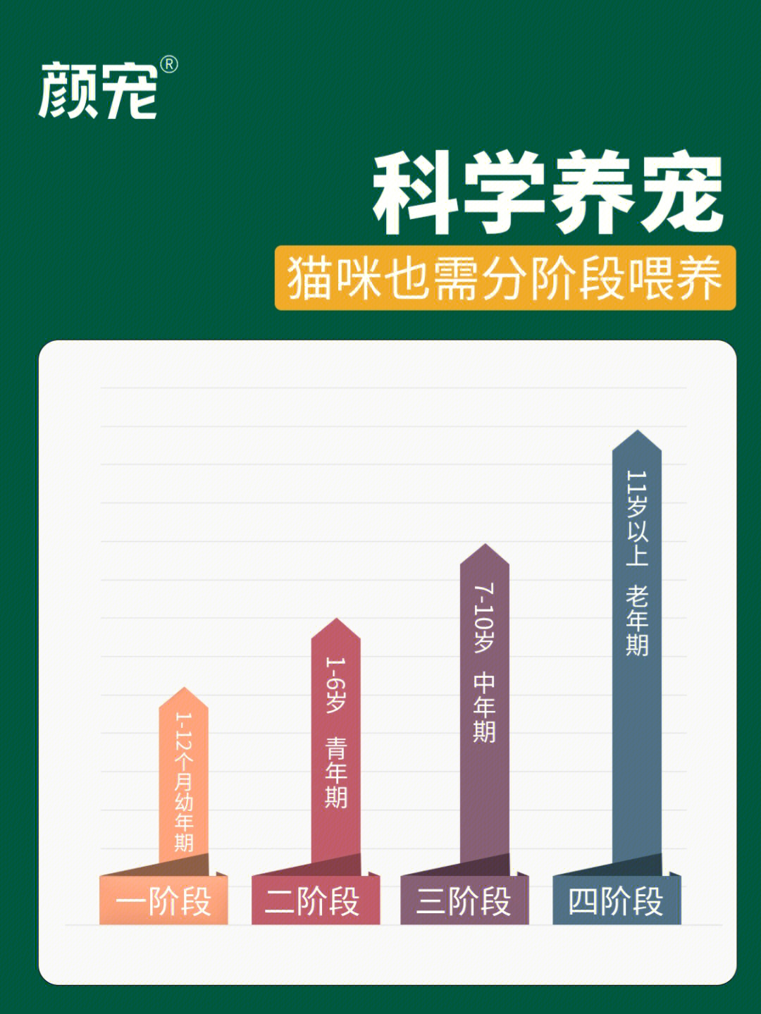 科学养宠猫咪也需分阶段05养宠新主张