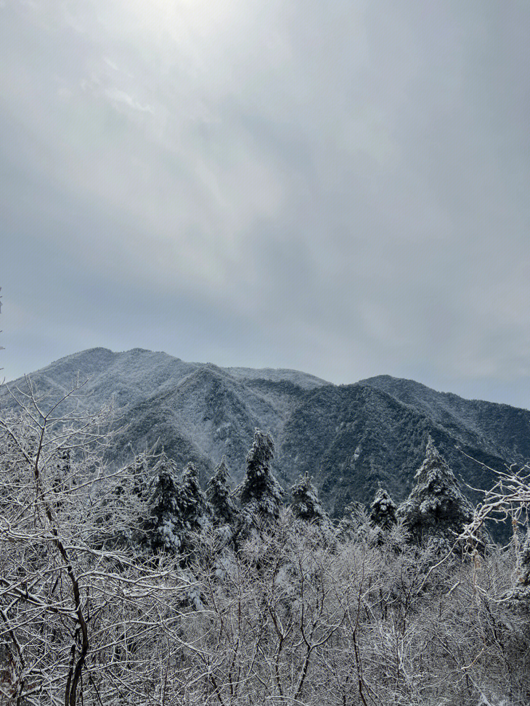 临安百丈岭雪景