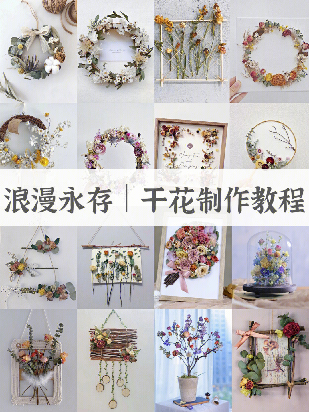 帝王花干花制作方法图片