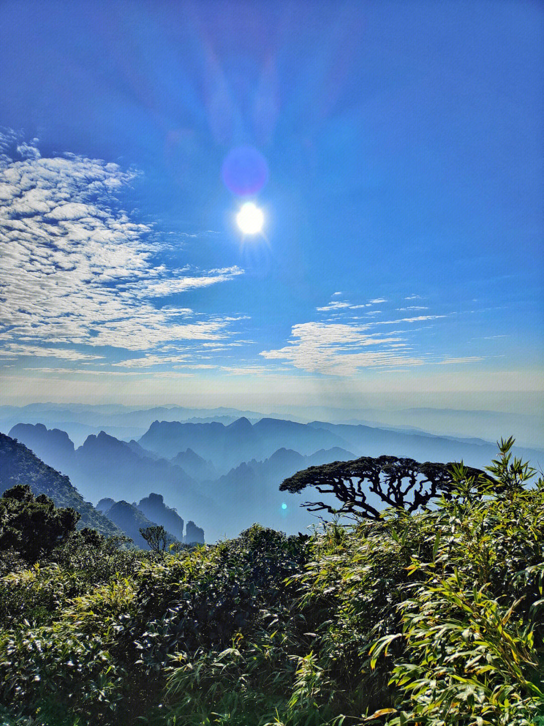 广西来宾旅游景点大全图片