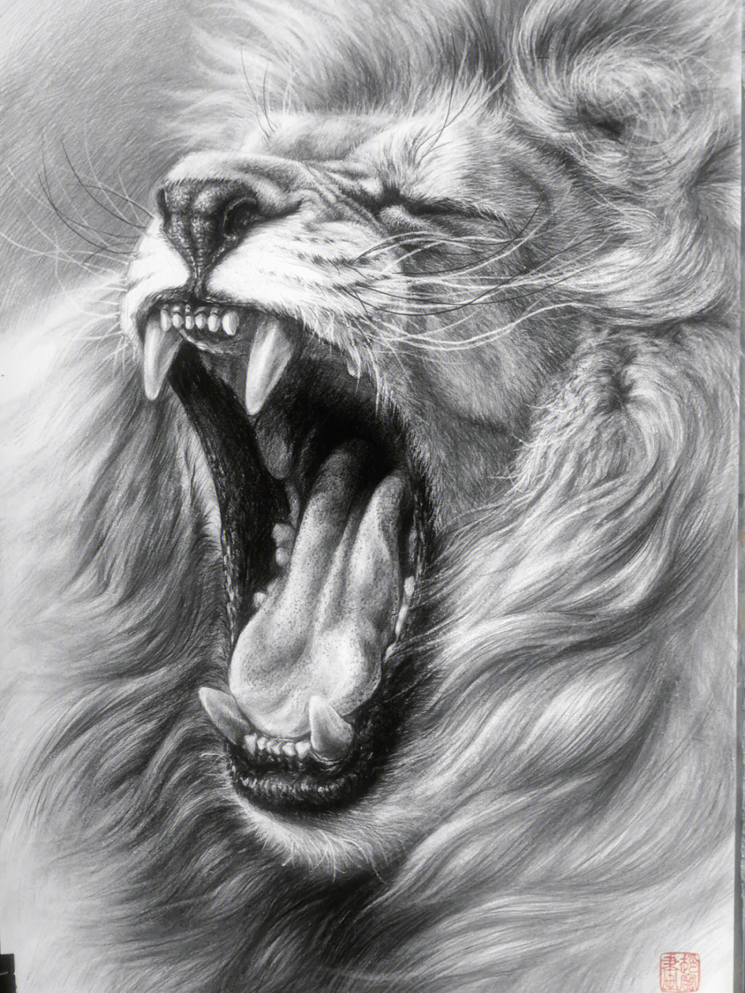 狮子头画法素描图片