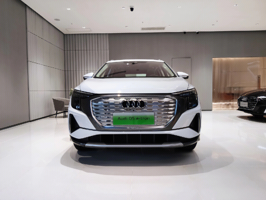 电动车排行 Q5etron图片