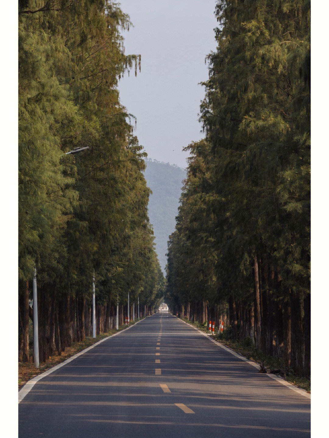 斗门上洲村旅游景点图片