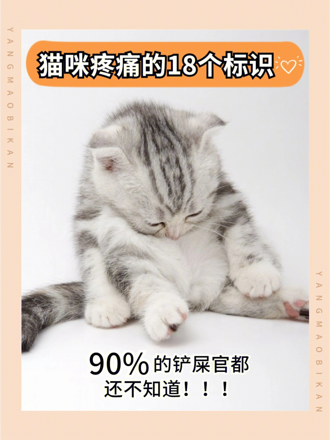 猫咪疼痛的166866个标识