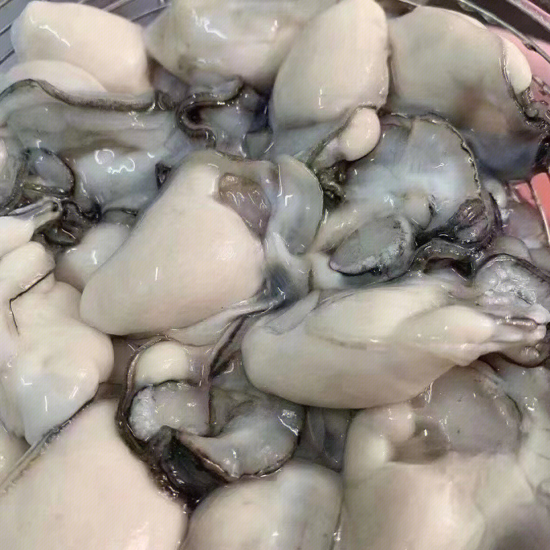 牡蛎粉