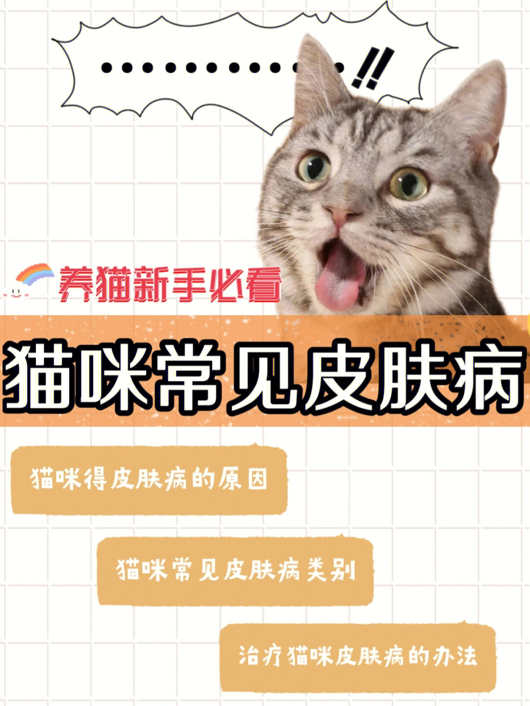 猫常见皮肤病图解真菌图片