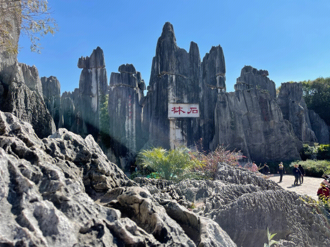 石林风景区介绍及图片图片