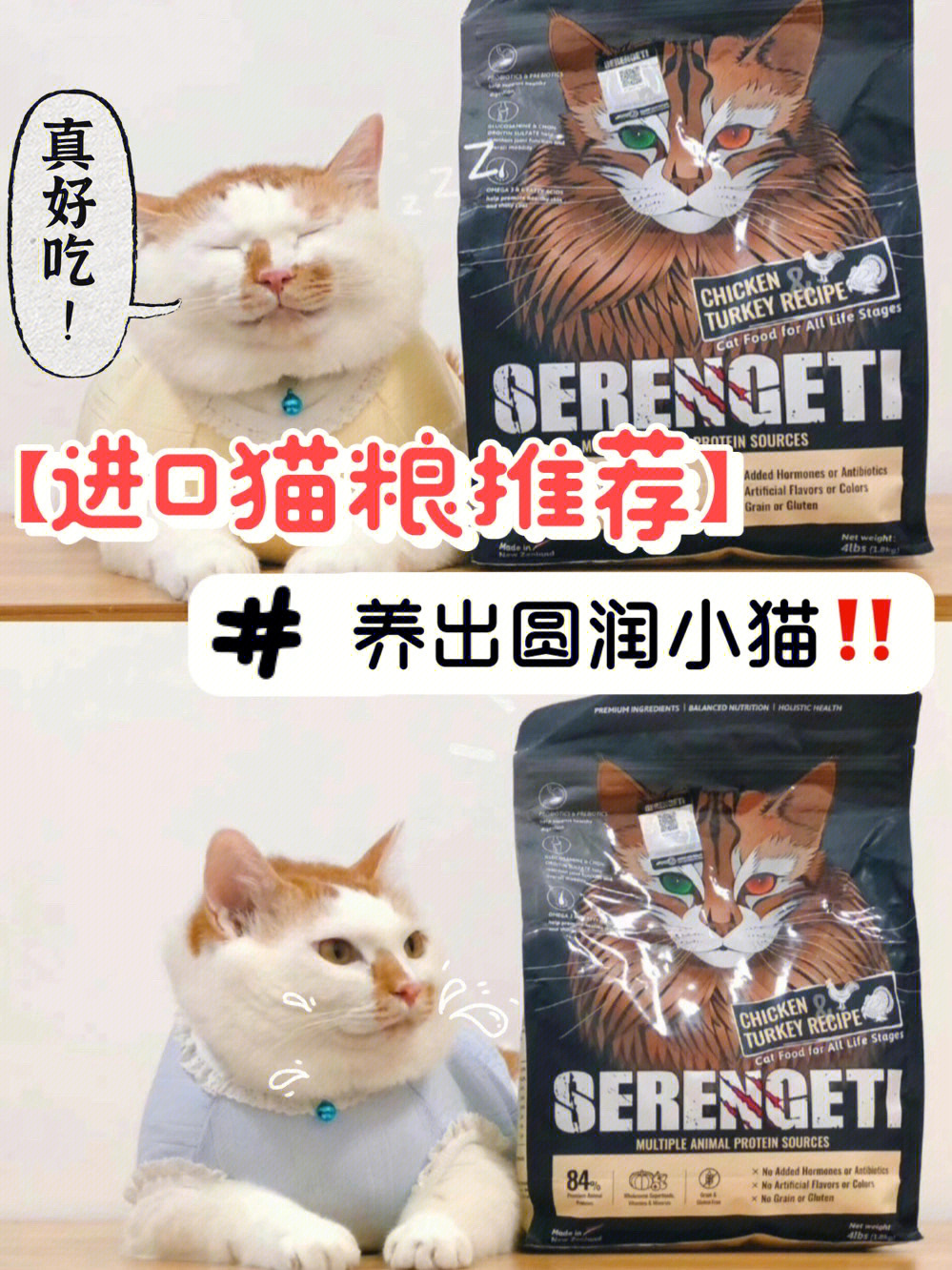 进口猫粮推荐养出圆润小猫性价比超高60