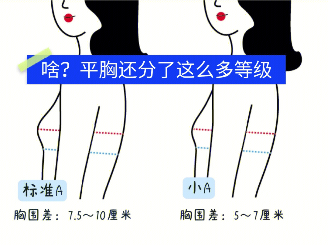 你是哪个级别的平胸