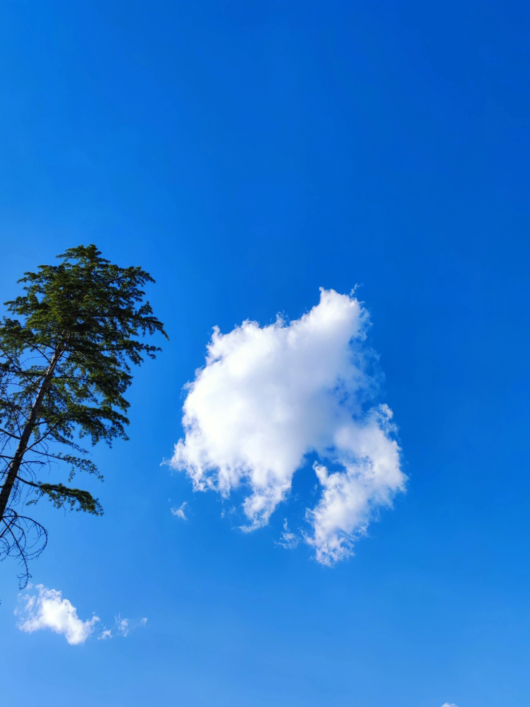 万里晴空电视剧图片