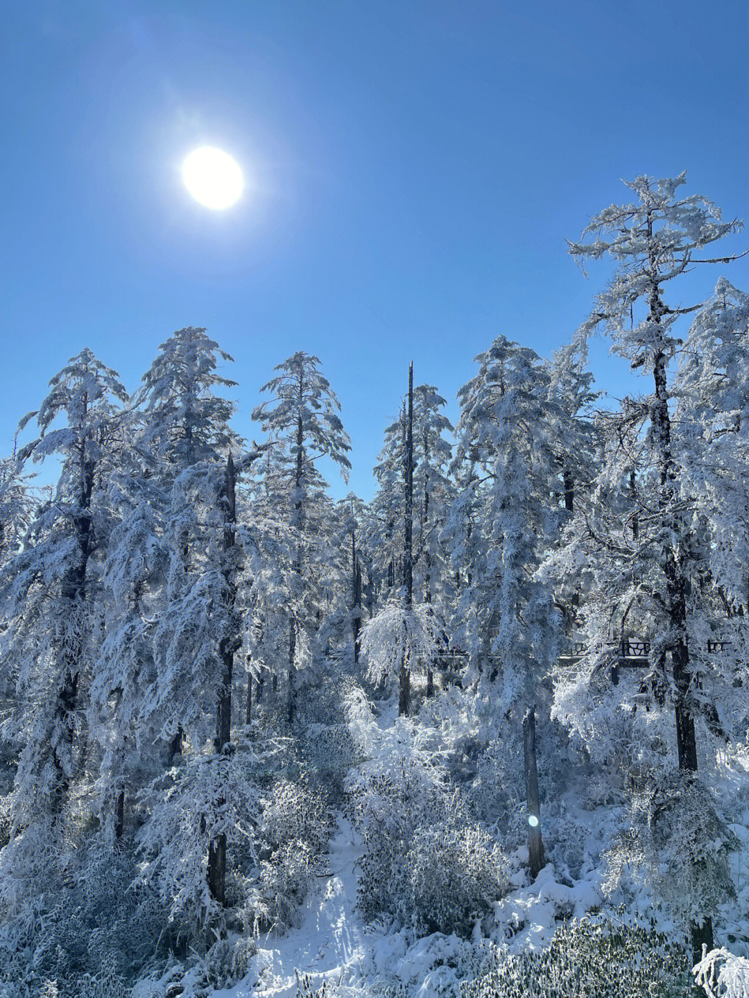 瓦屋山雪景图片图片