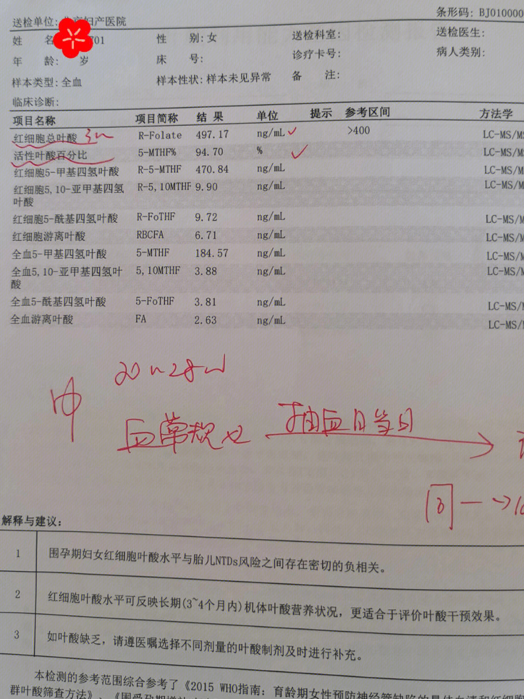 叶酸代谢基因检测报告图片