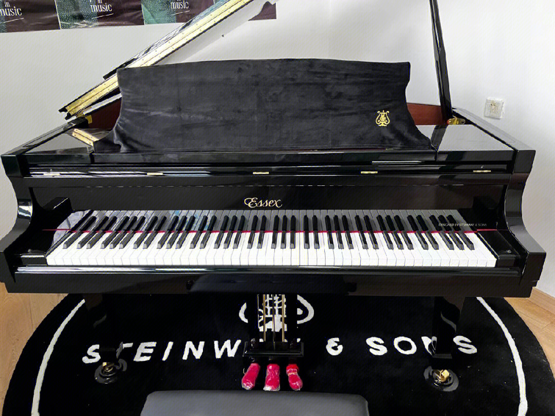 8月份买的施坦威旗下埃塞克斯三角钢琴