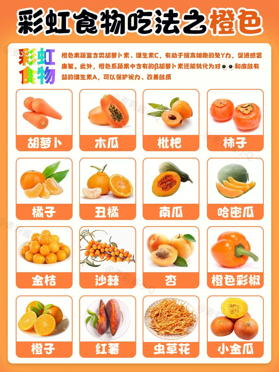 彩虹食物图谱图片