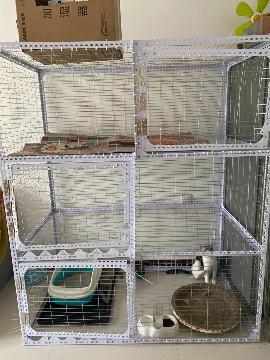 自制猫笼子材料教程图片