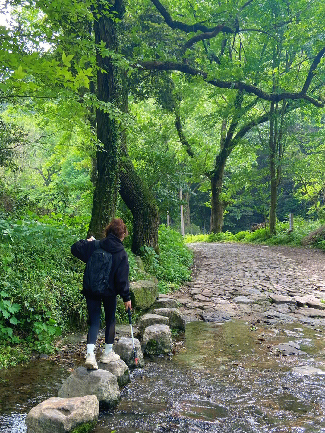 每周一山九溪十里琅珰龙井村