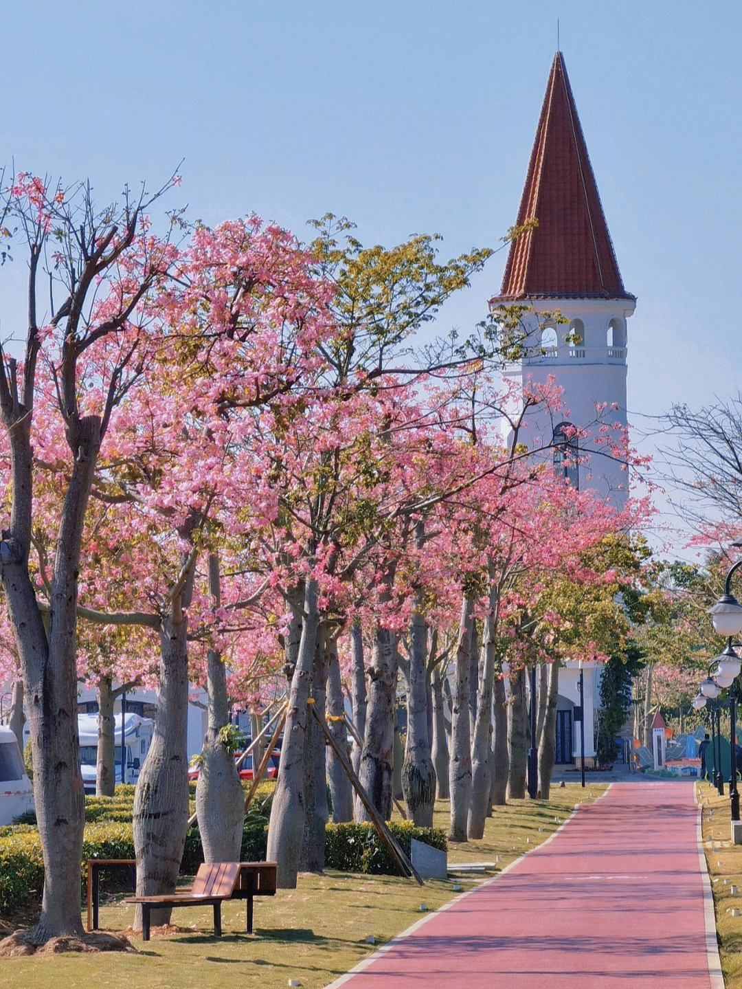 横琴十里花海长廊地址图片