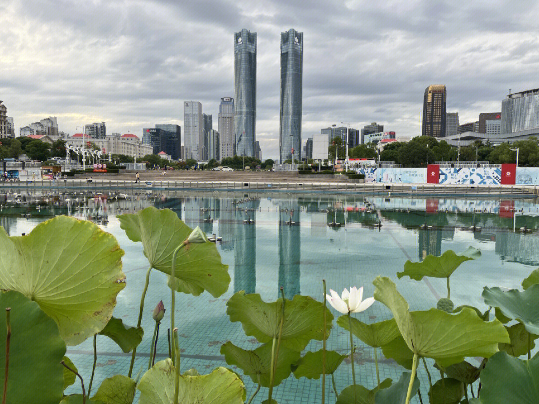 秋水广场照片白天图片