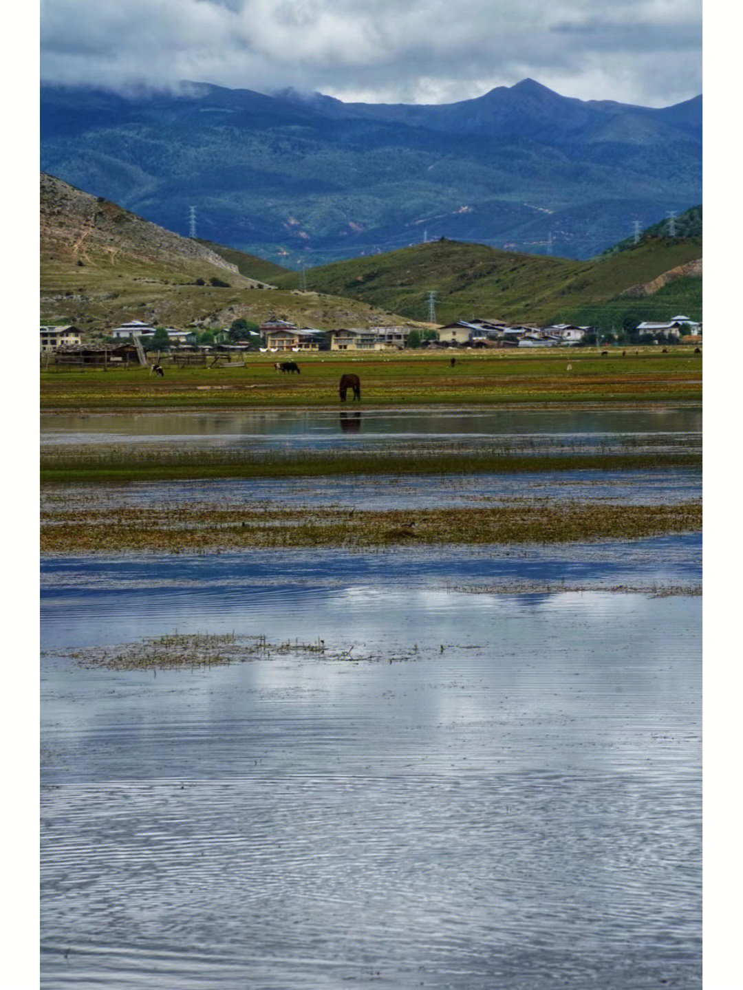 奶酪好吃,住宿条件不错,小200,纳帕海值得环海,水上公路很过瘾,完美的