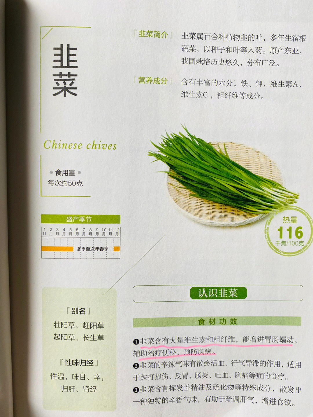 韭菜种植手抄报图片