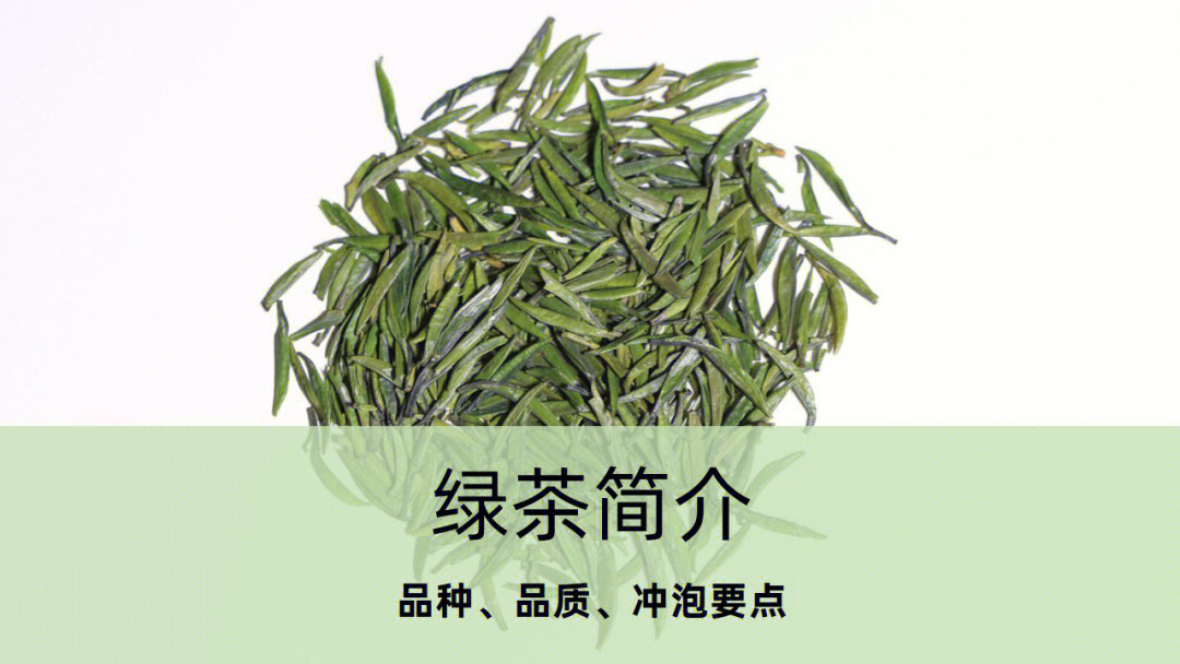 野生绿茶的简介图片