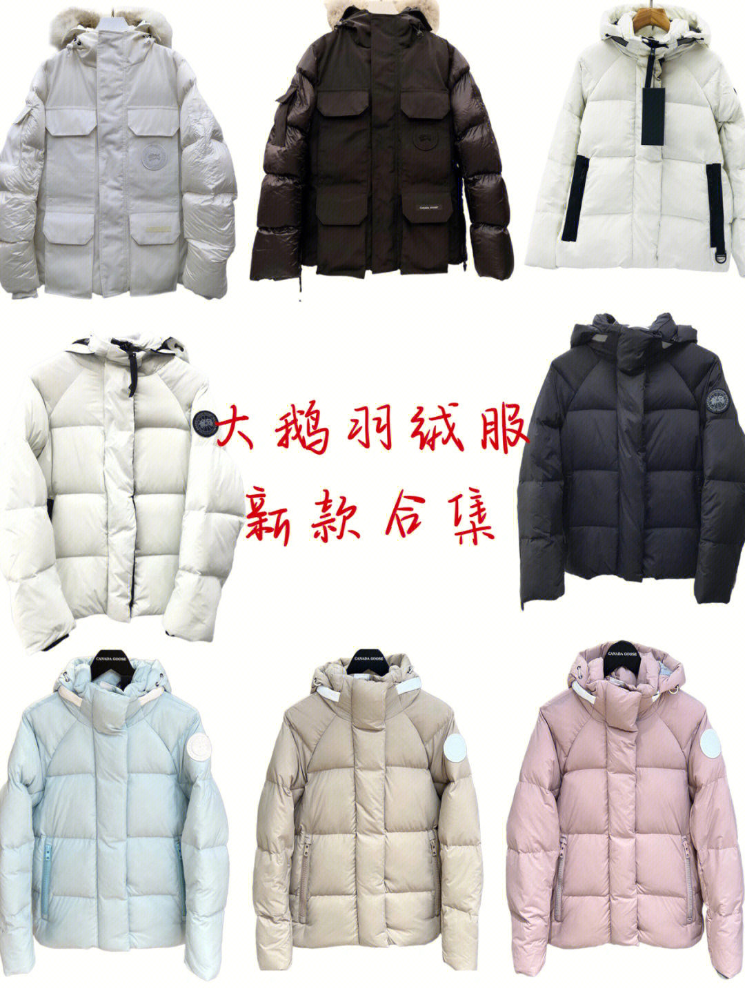 ootd整理加拿大鹅羽绒服20个款式合集