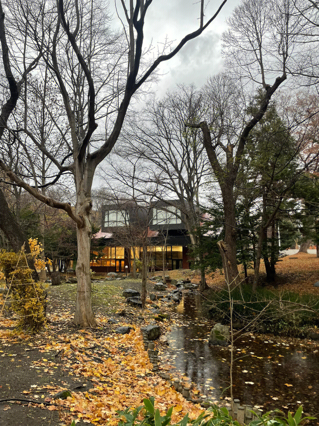 北海道大学图书馆图片