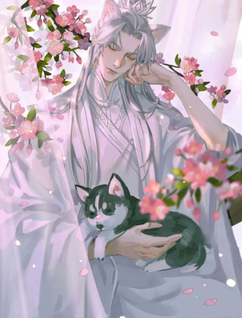 二哈和他的白猫师尊