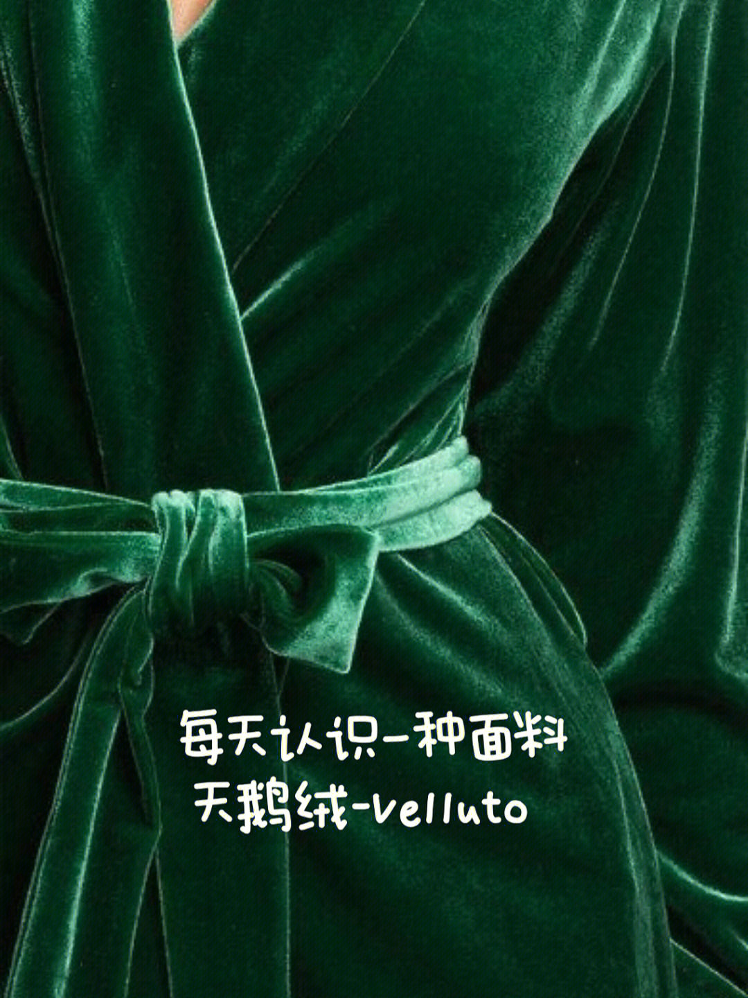 每天认识一种面料天鹅绒velluto