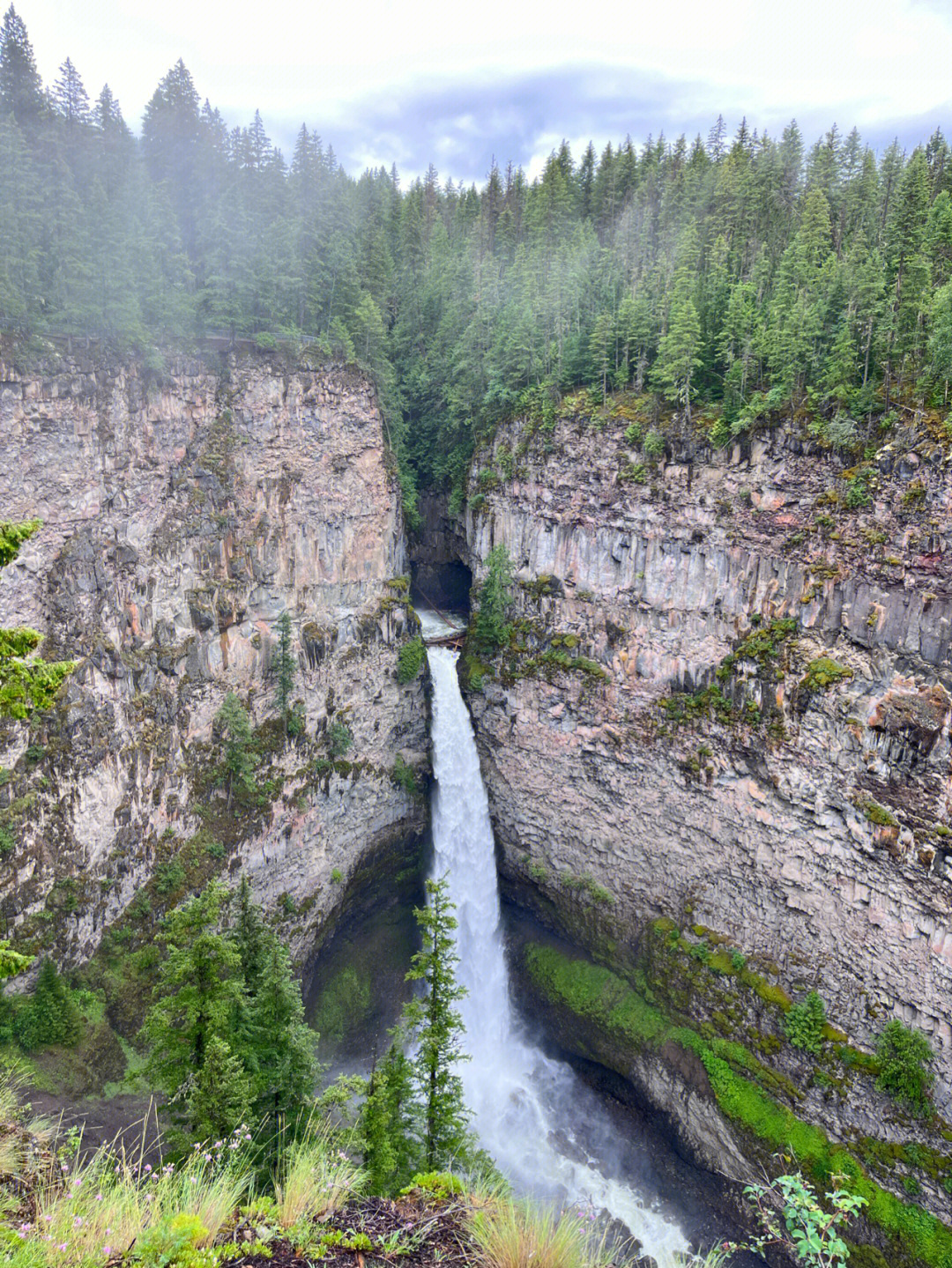 加拿大瀑布公园wellsgrayprovincialpark