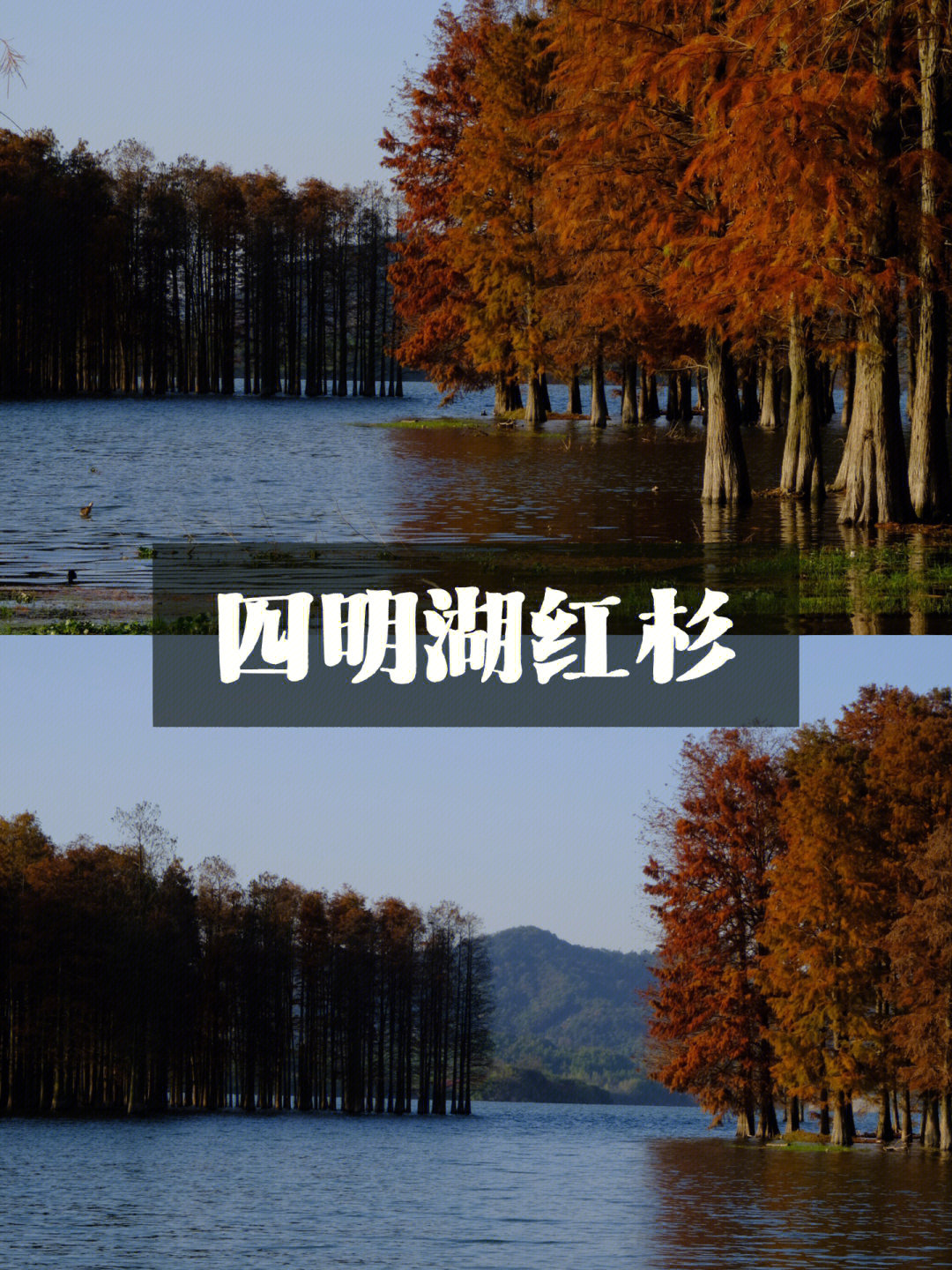 四明湖小诗图片