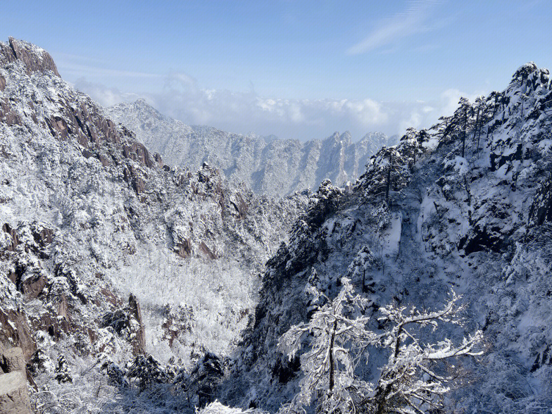 黄山雪景yyds