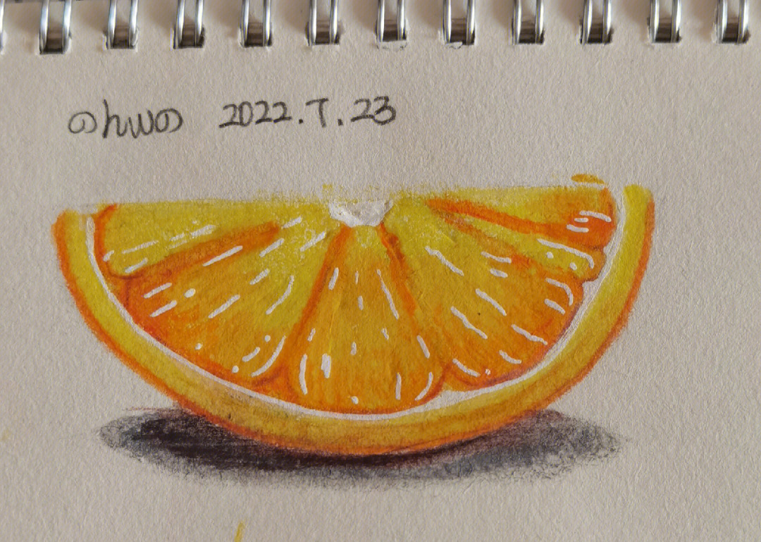 半边橙子彩铅画教程