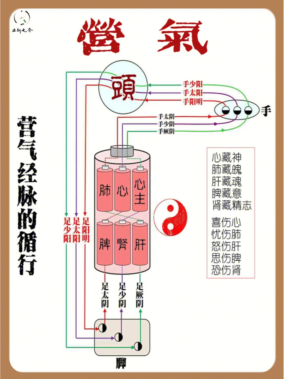 大周天十二经脉运行图图片