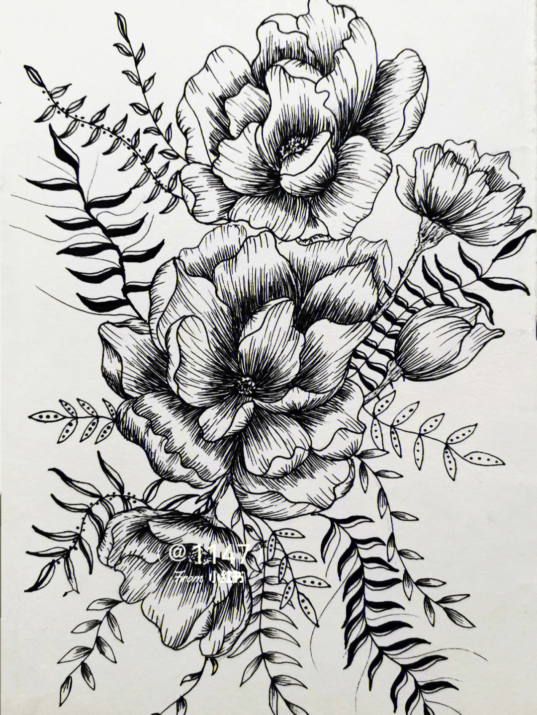 黑白线描花黑白线描花卉类