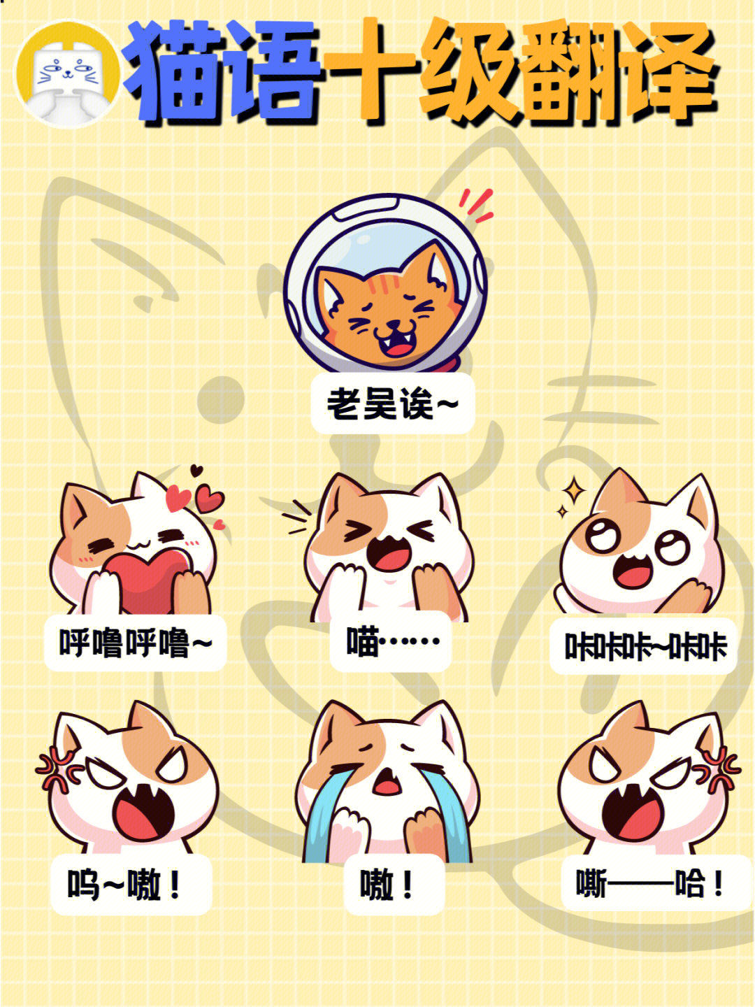 猫语十级翻译7种常见的猫叫声解析