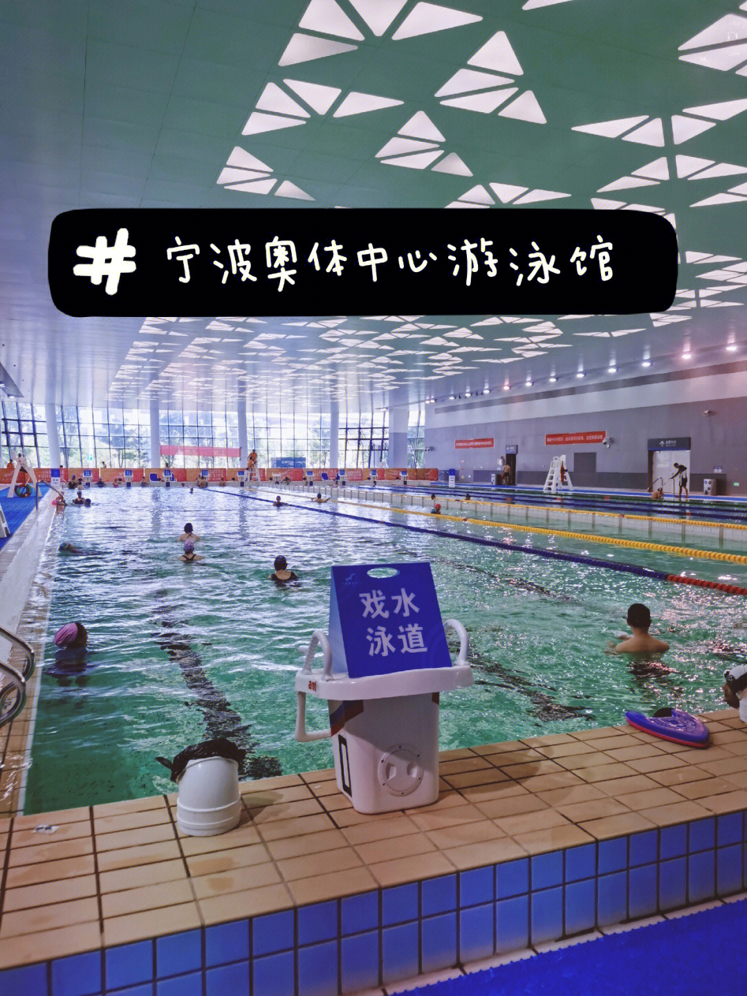 宁波中体城游泳馆图片