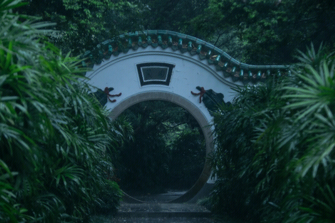 倚栏听雨意境图片图片