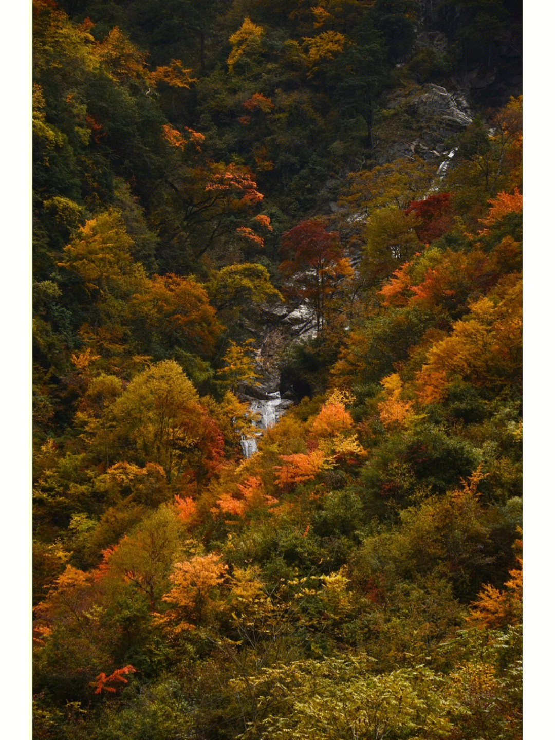 了,本来还打算今年好好去爬一座层林尽染的秋山～去年在邓生沟玩太久