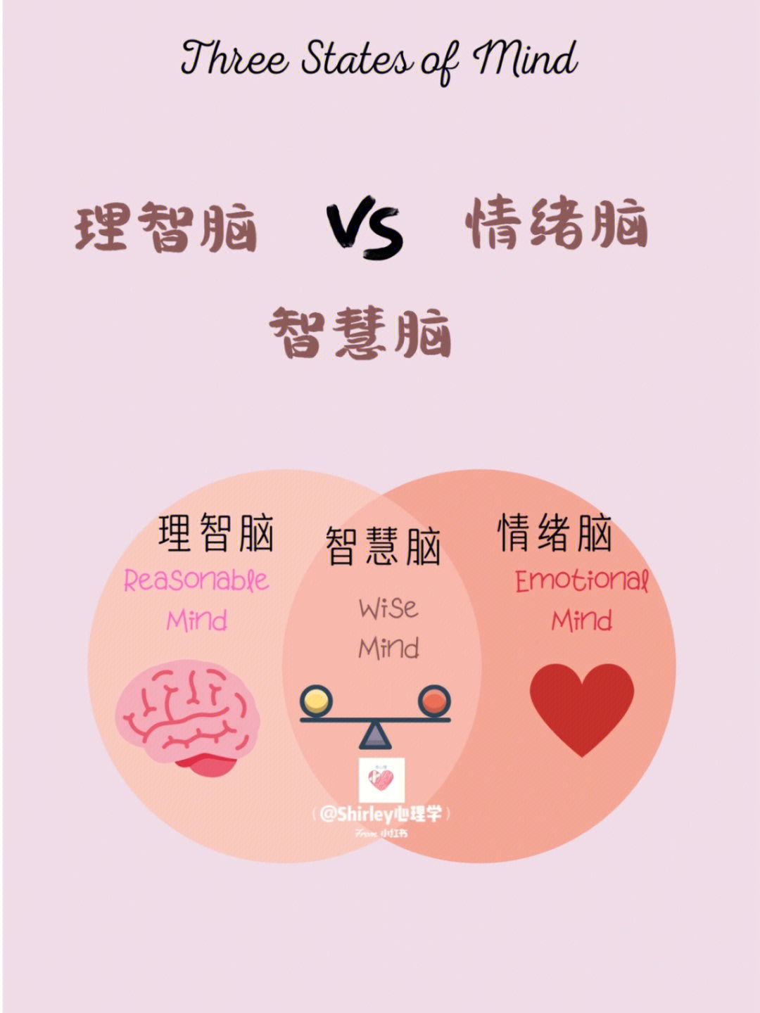 mind08情绪脑—负责人的情绪和记忆,包括下丘脑,海马回和杏仁核体