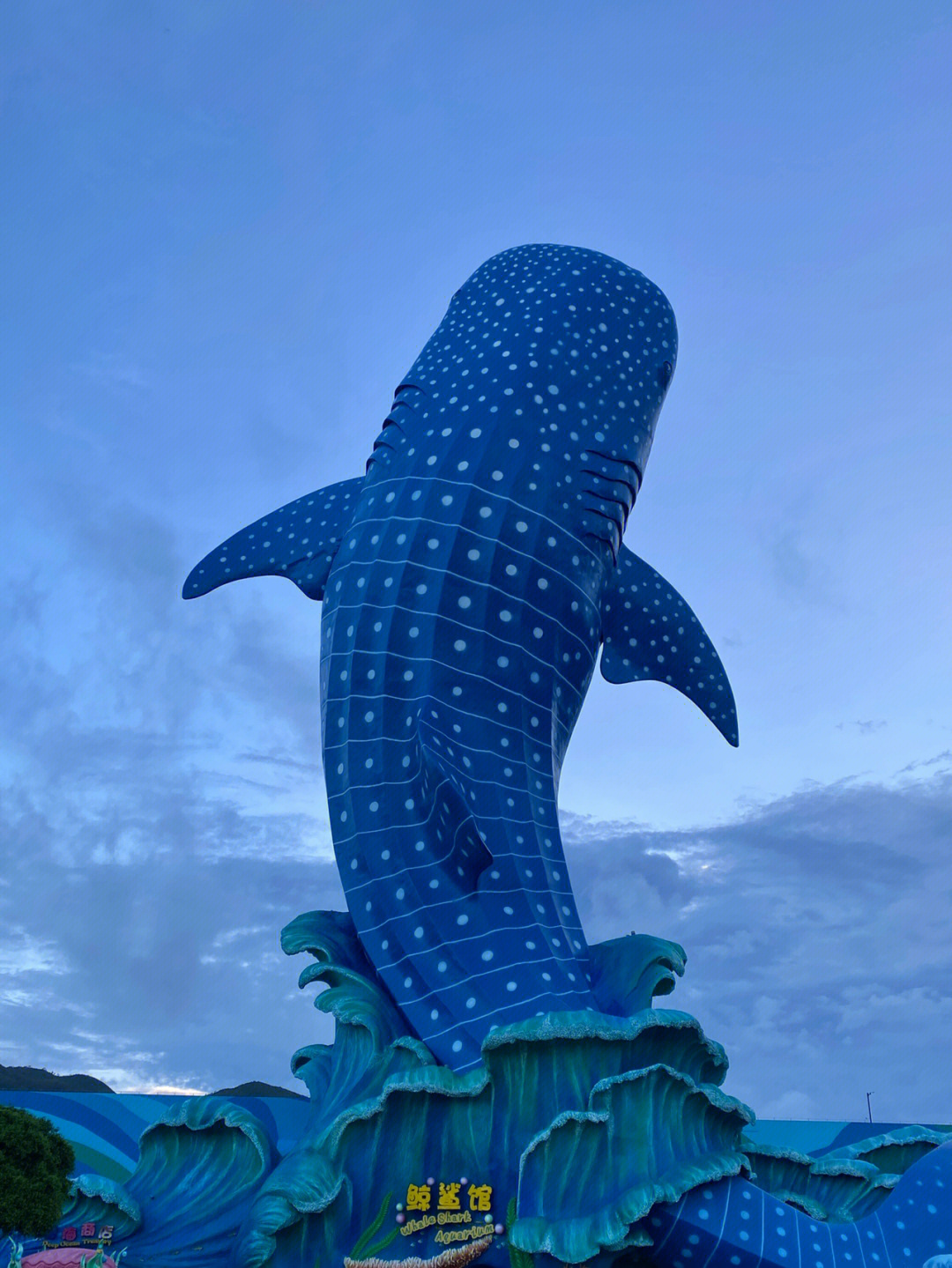 珠海鹦鹉过山车排名图片