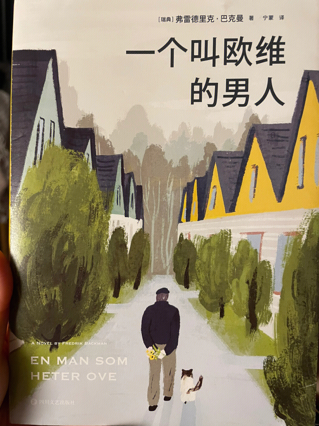 一个叫欧维的男人